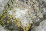 Keokuk Quartz Geode with Dolomite Crystals (Half) - Illinois #144762-1